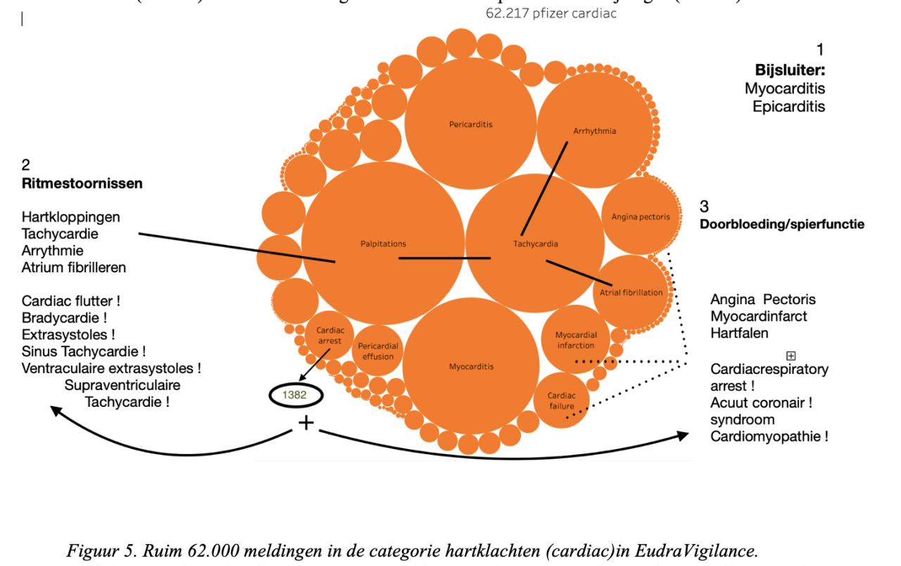 Meldingen cardiac cirkels eudravigilance 